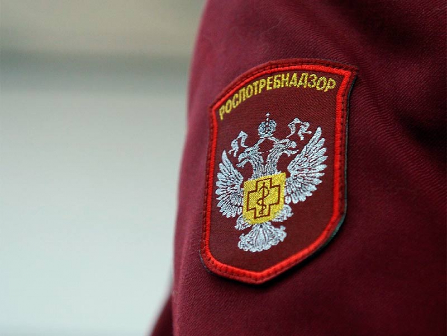 Роспотребнадзор назвал источник инфекции в детском лагере в Крыму
